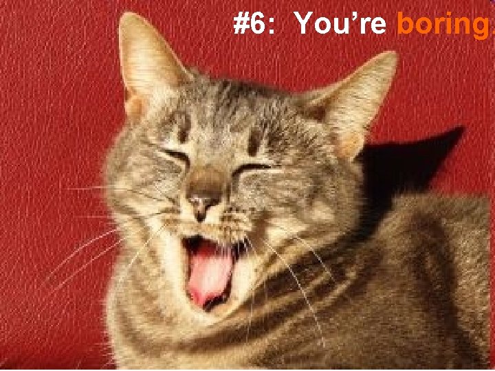 #6: You’re boring. 