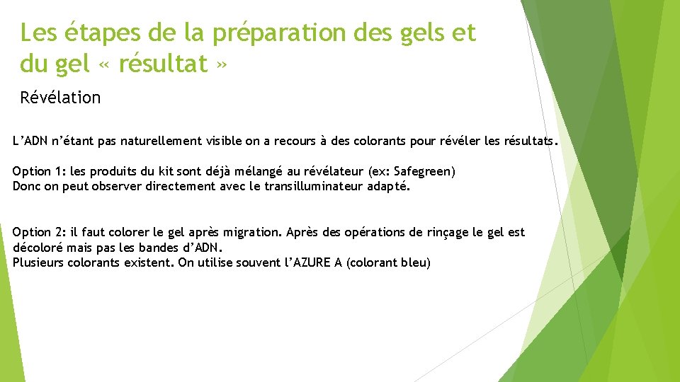 Les étapes de la préparation des gels et du gel « résultat » Révélation