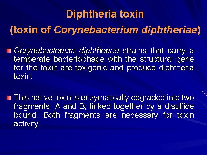 Diphtheria toxin (toxin of Corynebacterium diphtheriae) Corynebacterium diphtheriae strains that carry a temperate bacteriophage