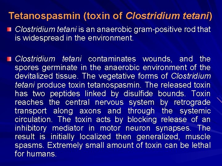 Tetanospasmin (toxin of Clostridium tetani) Clostridium tetani is an anaerobic gram-positive rod that is