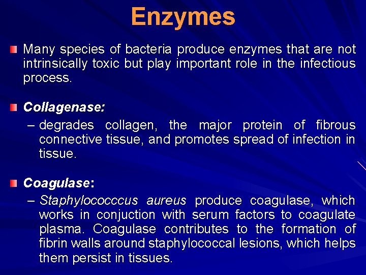 Enzymes Many species of bacteria produce enzymes that are not intrinsically toxic but play