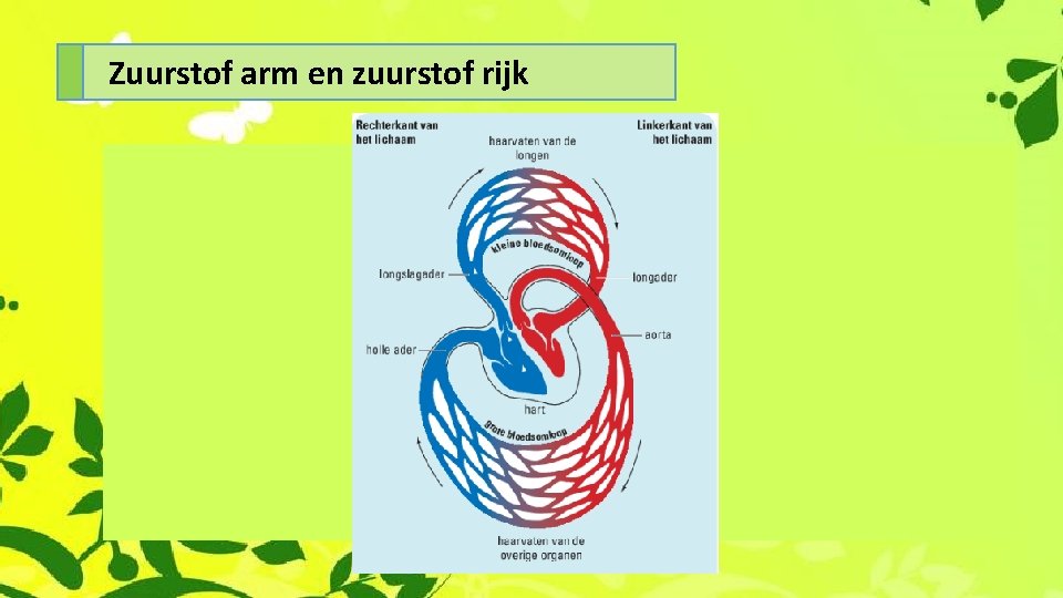 Zuurstof arm en zuurstof rijk 