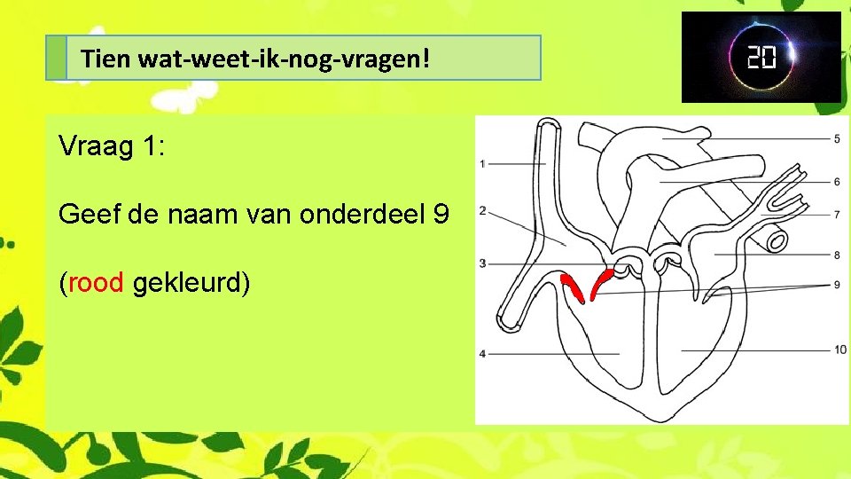 Tien wat-weet-ik-nog-vragen! Vraag 1: Geef de naam van onderdeel 9 (rood gekleurd) 