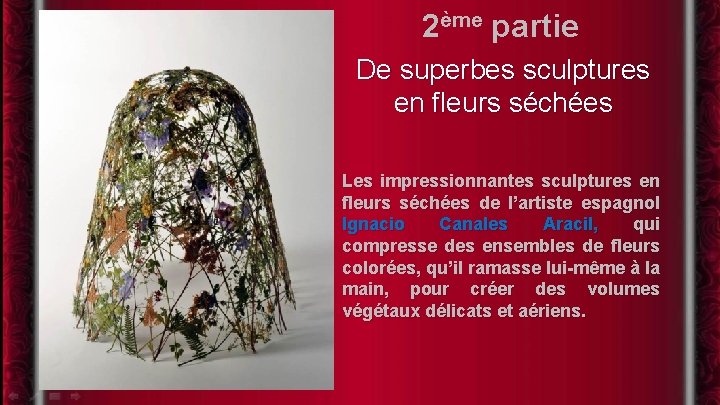 2ème partie De superbes sculptures en fleurs séchées Les impressionnantes sculptures en fleurs séchées