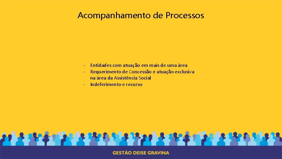 Acompanhamento de Processos - Entidades com atuação em mais de uma área - Requerimento