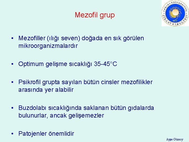 Mezofil grup • Mezofiller (ılığı seven) doğada en sık görülen mikroorganizmalardır • Optimum gelişme