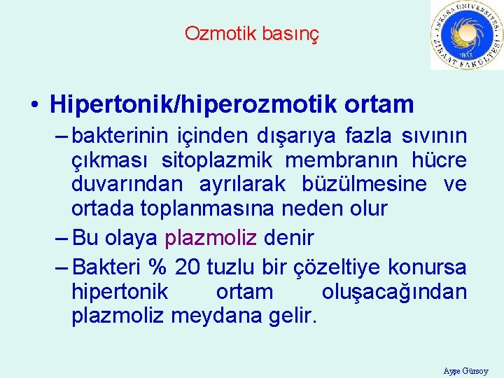 Ozmotik basınç • Hipertonik/hiperozmotik ortam – bakterinin içinden dışarıya fazla sıvının çıkması sitoplazmik membranın