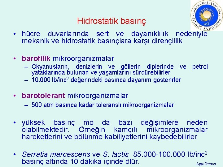 Hidrostatik basınç • hücre duvarlarında sert ve dayanıklılık nedeniyle mekanik ve hidrostatik basınçlara karşı