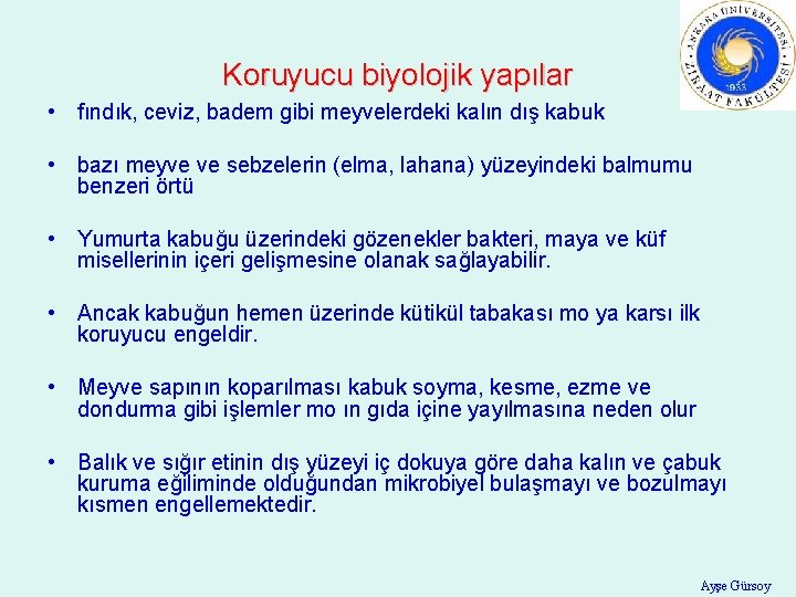 Koruyucu biyolojik yapılar • fındık, ceviz, badem gibi meyvelerdeki kalın dış kabuk • bazı