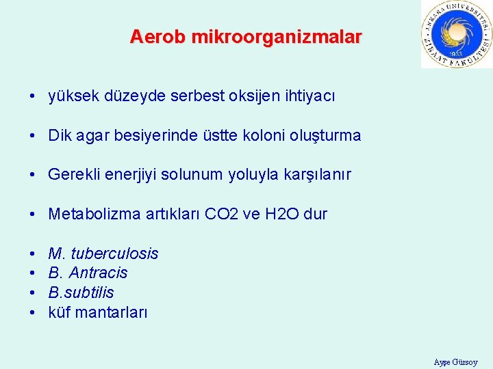 Aerob mikroorganizmalar • yüksek düzeyde serbest oksijen ihtiyacı • Dik agar besiyerinde üstte koloni