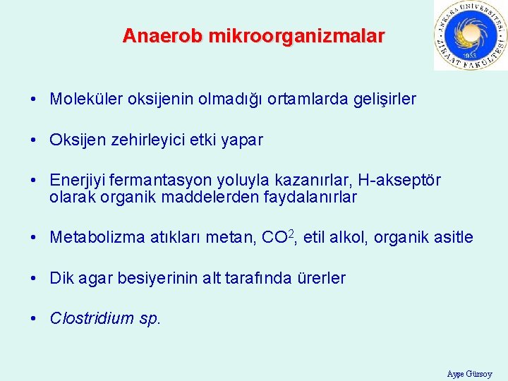 Anaerob mikroorganizmalar • Moleküler oksijenin olmadığı ortamlarda gelişirler • Oksijen zehirleyici etki yapar •