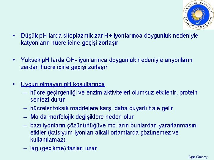  • Düşük p. H larda sitoplazmik zar H+ iyonlarınca doygunluk nedeniyle katyonların hücre