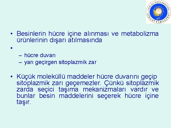  • Besinlerin hücre içine alınması ve metabolizma ürünlerinin dışarı atılmasında • – hücre