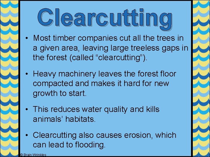 Clearcutting • Most timber companies cut all the trees in a given area, leaving