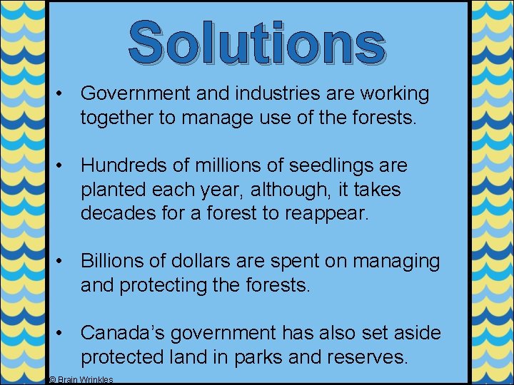 Solutions • Government and industries are working together to manage use of the forests.