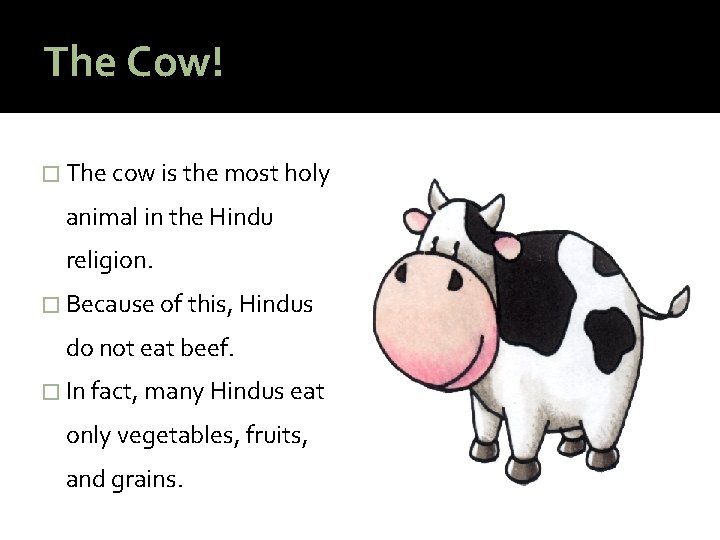 The Cow! � The cow is the most holy animal in the Hindu religion.