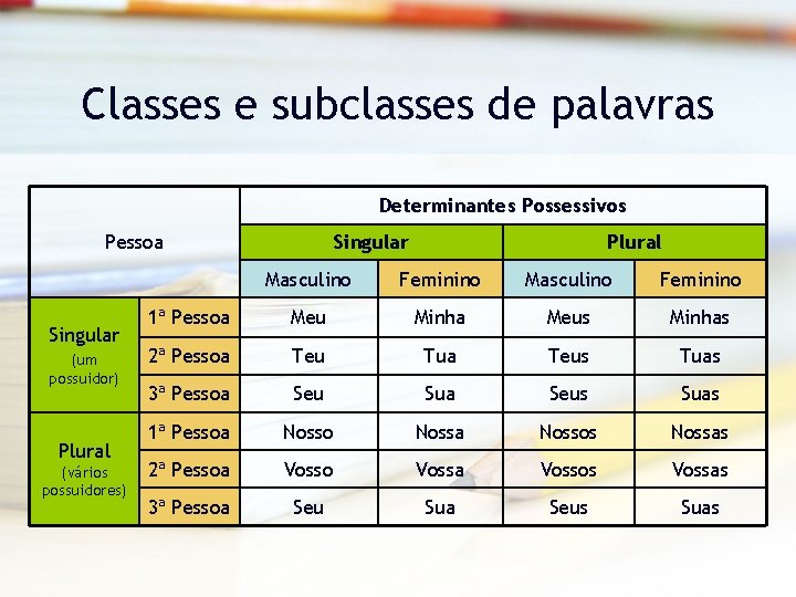 Classes e subclasses de palavras Determinantes Possessivos Pessoa Singular (um possuidor) Plural (vários possuidores)