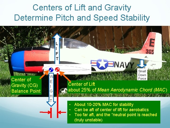 Centers of Lift and Gravity Determine Pitch and Speed Stability L I F T