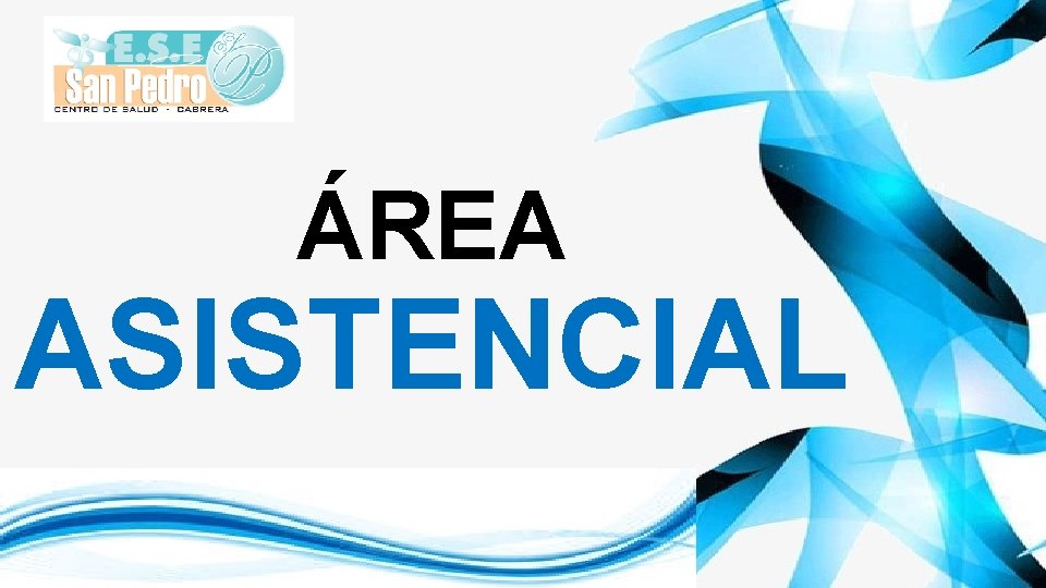 ÁREA ASISTENCIAL 