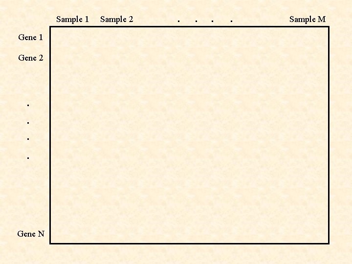 Gene 1 Gene 2 . . Gene N Sample 2 . . Sample 1