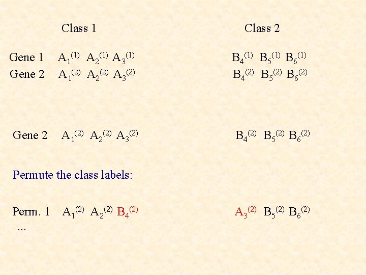 Class 1 Class 2 Gene 1 Gene 2 A 1(1) A 2(1) A 3(1)