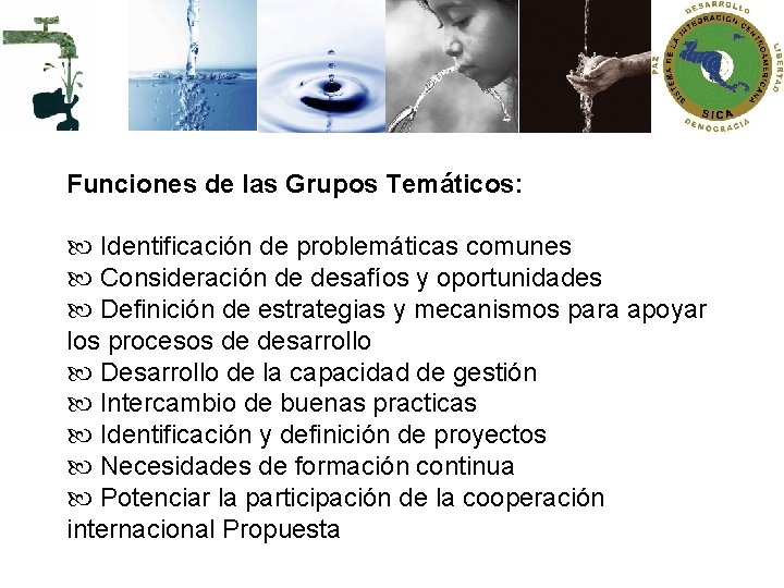 Funciones de las Grupos Temáticos: Identificación de problemáticas comunes Consideración de desafíos y oportunidades