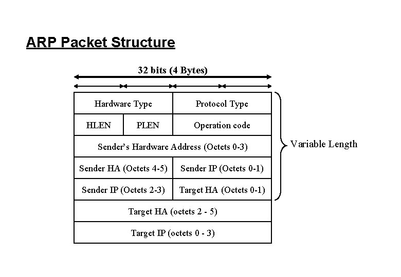 ARP Packet Structure 32 bits (4 Bytes) Hardware Type HLEN Protocol Type Operation code