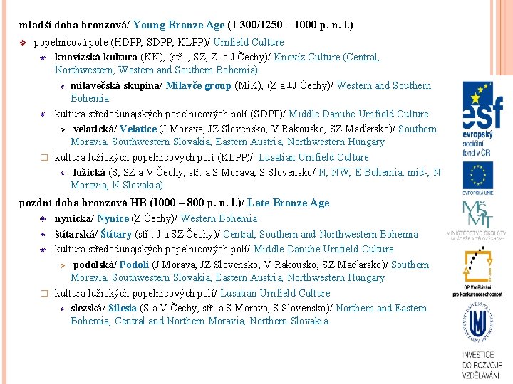 mladší doba bronzová/ Young Bronze Age (1 300/1250 – 1000 p. n. l. )