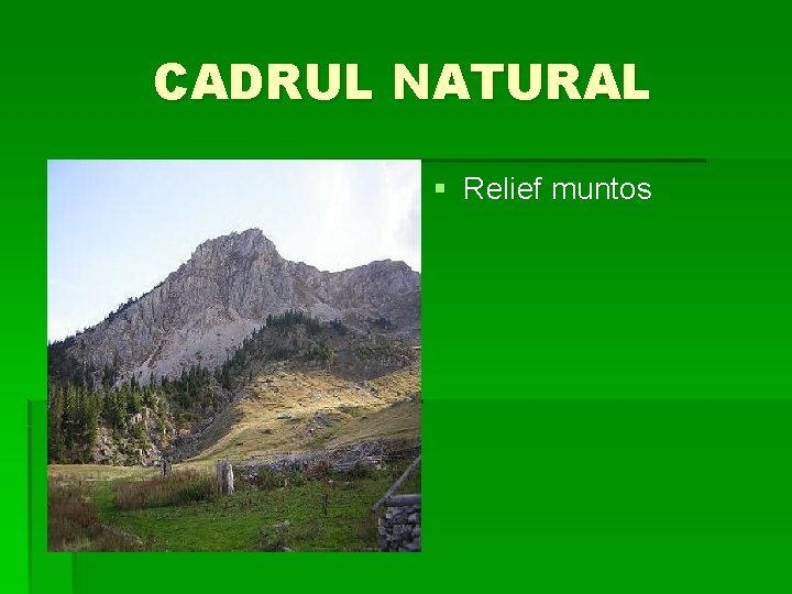 CADRUL NATURAL § Relief muntos 