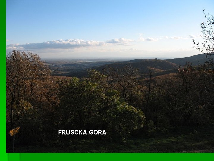 FRUSCKA GORA 