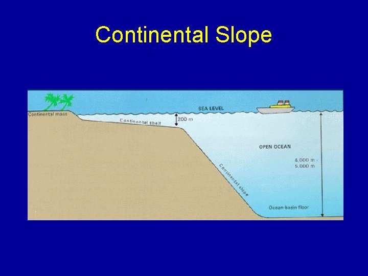 Continental Slope 