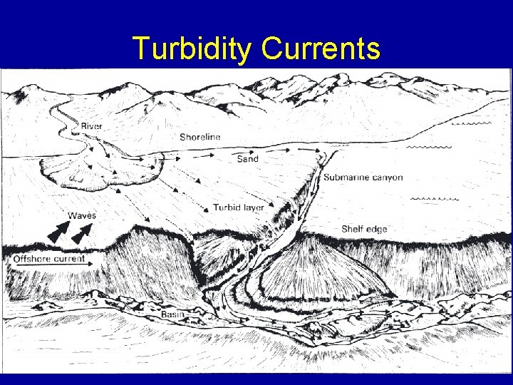 Turbidity Currents 