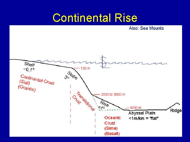 Continental Rise 