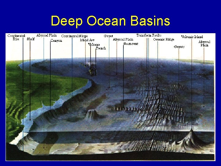 Deep Ocean Basins 