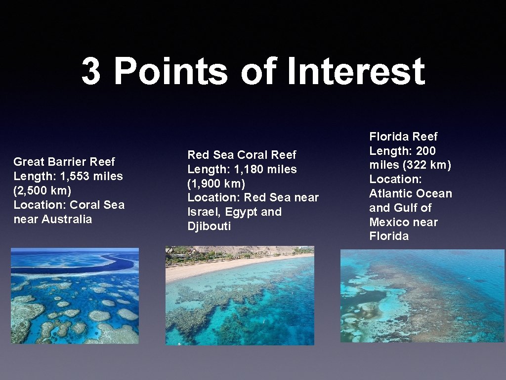 3 Points of Interest Great Barrier Reef Length: 1, 553 miles (2, 500 km)