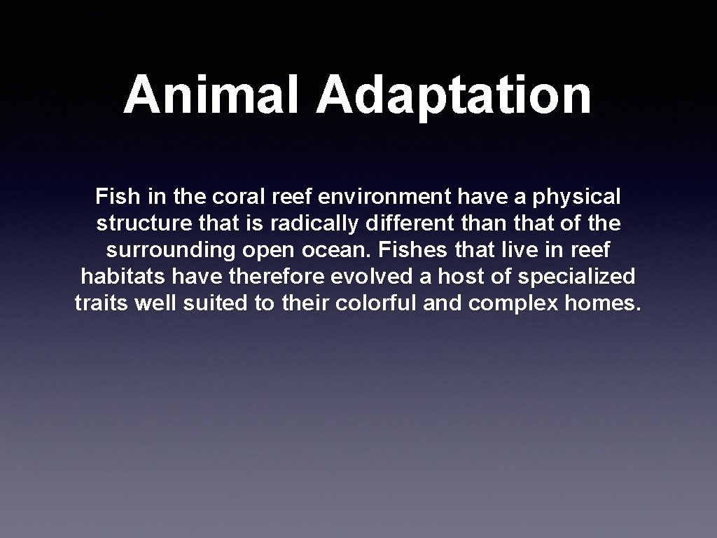Animal Adaptation Fish in the coral reef environment have a physical structure that is