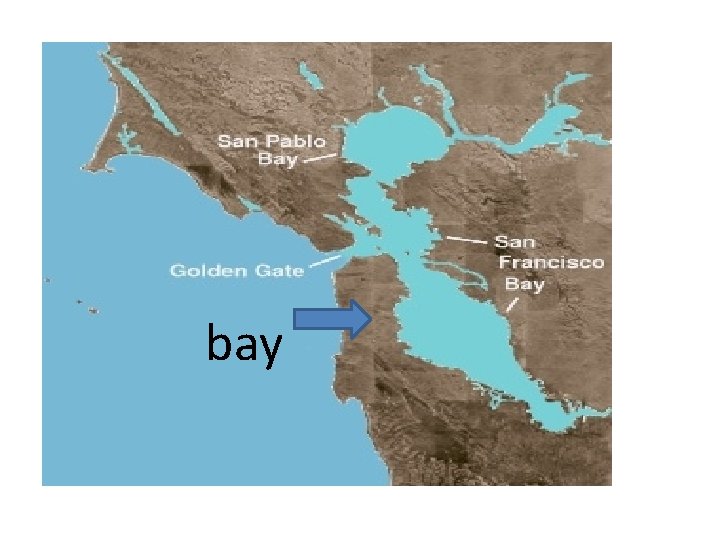 bay 