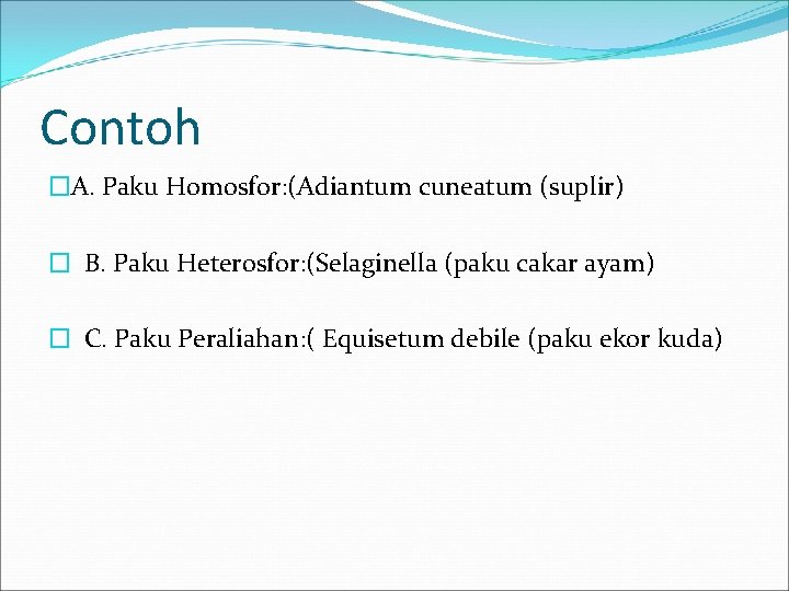 Contoh �A. Paku Homosfor: (Adiantum cuneatum (suplir) � B. Paku Heterosfor: (Selaginella (paku cakar