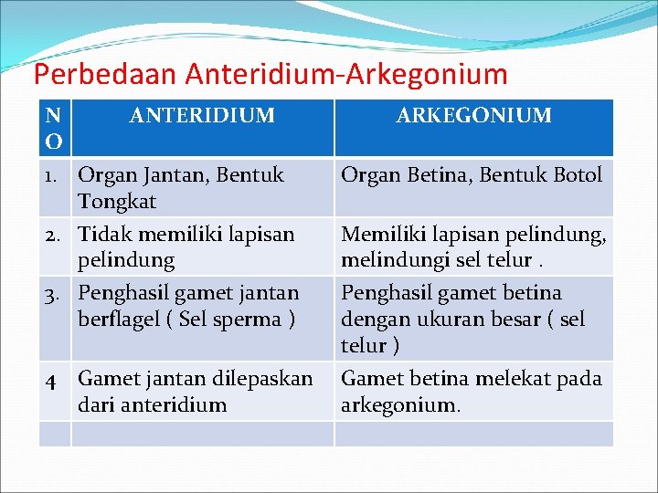Perbedaan Anteridium-Arkegonium N ANTERIDIUM O 1. Organ Jantan, Bentuk Tongkat ARKEGONIUM Organ Betina, Bentuk