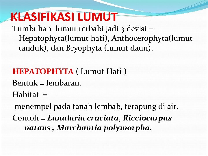 KLASIFIKASI LUMUT Tumbuhan lumut terbabi jadi 3 devisi = Hepatophyta(lumut hati), Anthocerophyta(lumut tanduk), dan