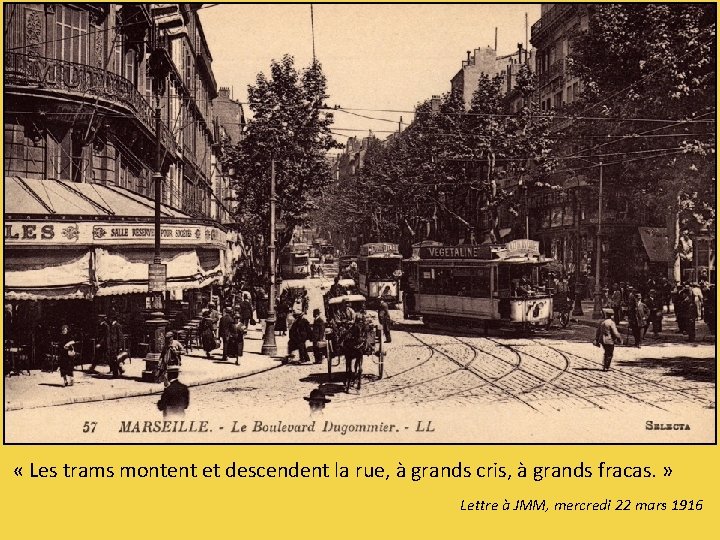  « Les trams montent et descendent la rue, à grands cris, à grands