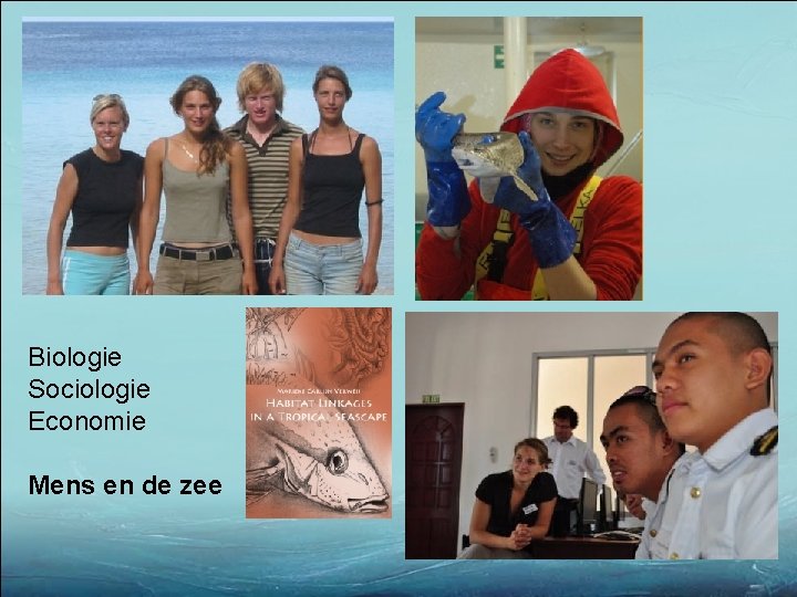 Biologie Sociologie Economie Mens en de zee 