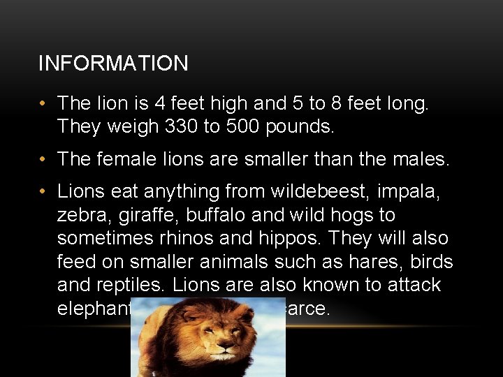 INFORMATION • The lion is 4 feet high and 5 to 8 feet long.