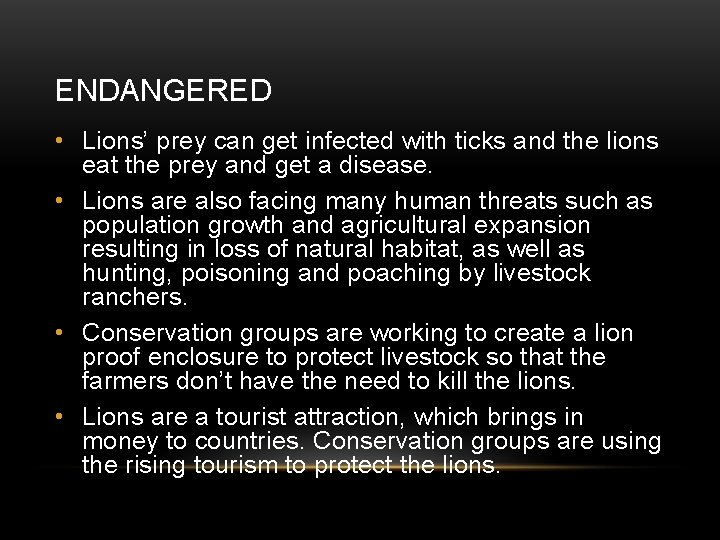 ENDANGERED • Lions’ prey can get infected with ticks and the lions eat the