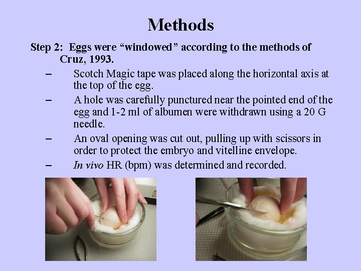 Methods Step 2: Eggs were “windowed” according to the methods of Cruz, 1993. –