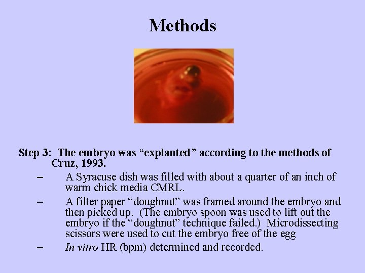 Methods Step 3: The embryo was “explanted” according to the methods of Cruz, 1993.