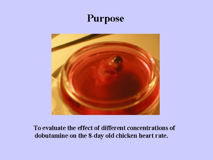 Purpose To evaluate the effect of different concentrations of dobutamine on the 8 -day