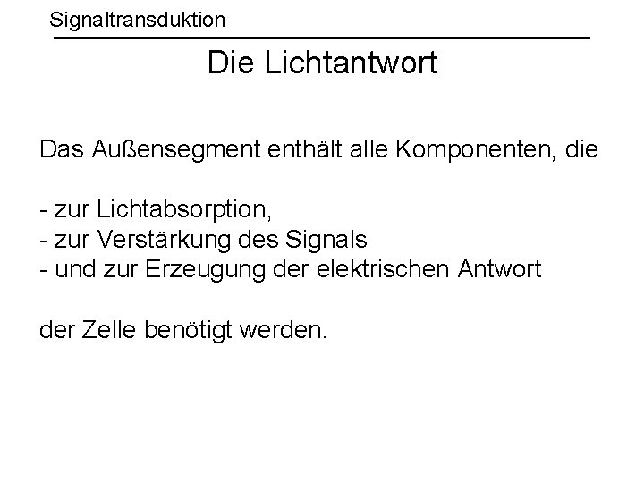 Signaltransduktion Die Lichtantwort Das Außensegment enthält alle Komponenten, die - zur Lichtabsorption, - zur