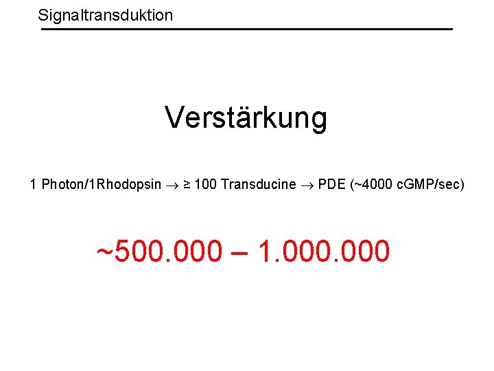 Signaltransduktion Verstärkung 1 Photon/1 Rhodopsin ≥ 100 Transducine PDE (~4000 c. GMP/sec) ~500. 000