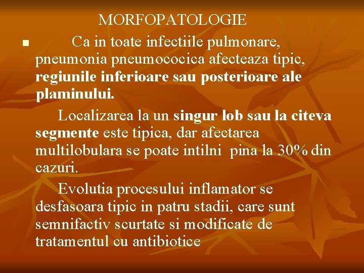 n MORFOPATOLOGIE Ca in toate infectiile pulmonare, pneumonia pneumococica afecteaza tipic, regiunile inferioare sau